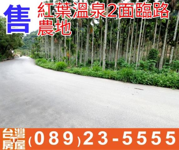 紅葉溫泉2面臨路農地