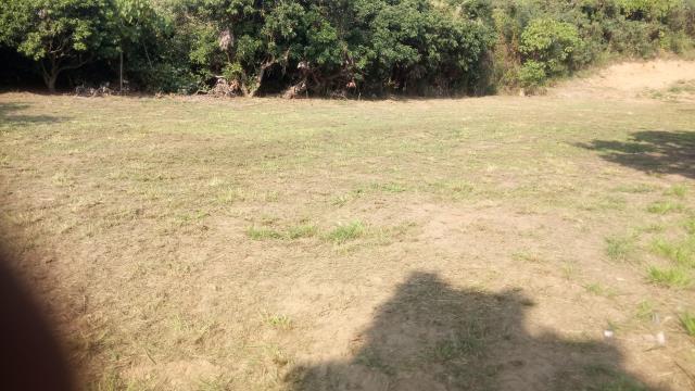 彰化彰化市農地-3