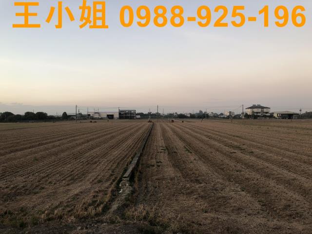 嘉義農地-1