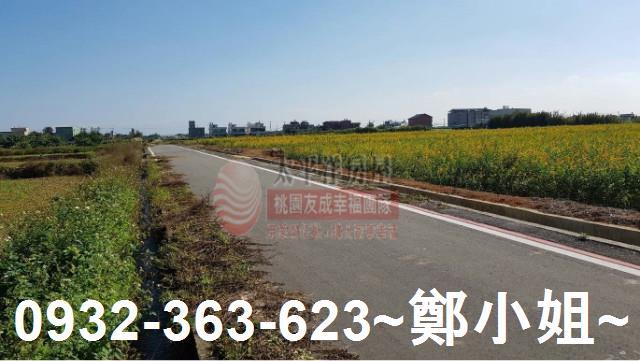 桃園觀音農地-2