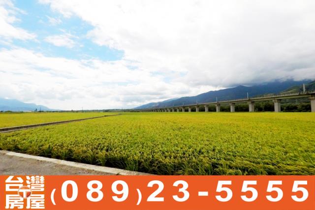 關山農地-10