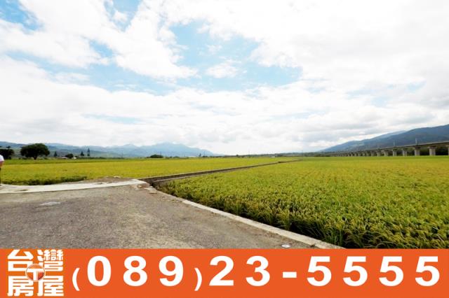 關山農地-13
