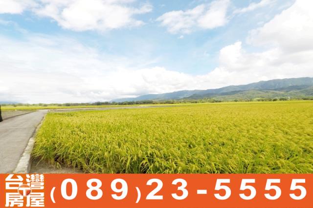 關山農地-5