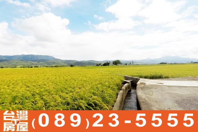 關山農地-6