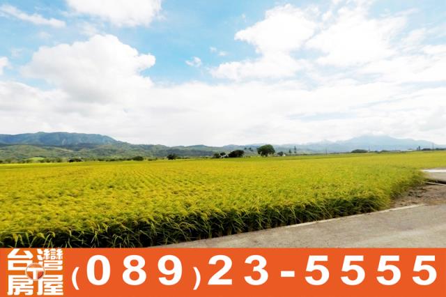 關山農地-8