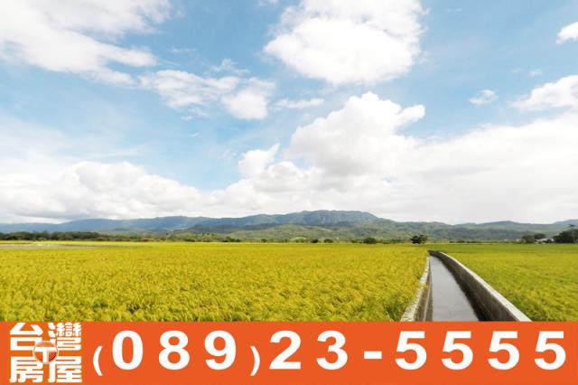 關山農地-9