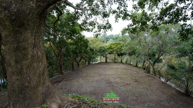 新竹北埔農地-11