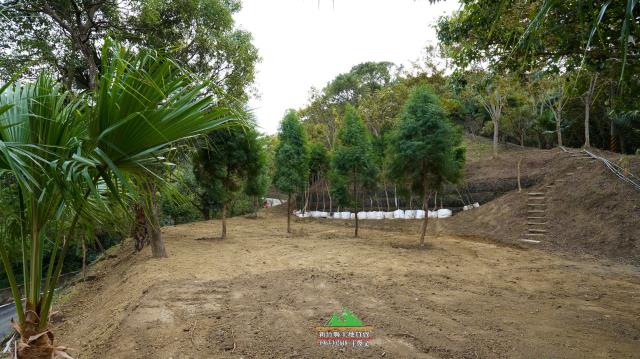 新竹北埔農地-2