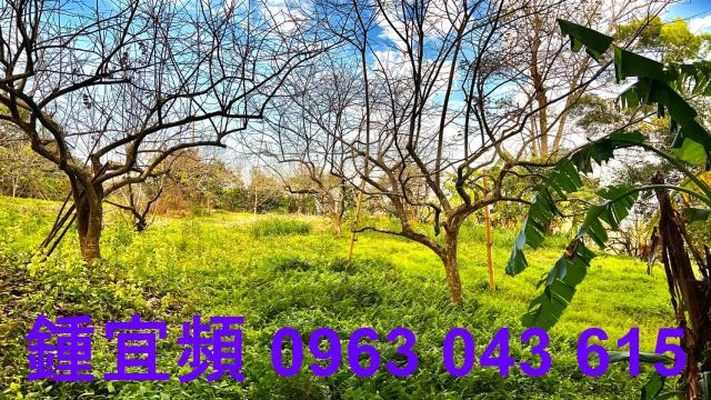 新竹北埔農地-10