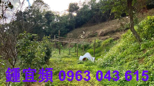 新竹北埔農地-12