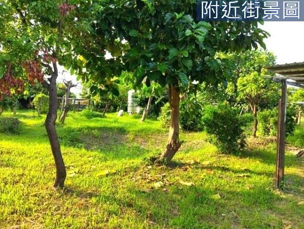 台南安南農地-10