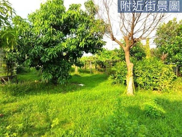 台南安南農地-11