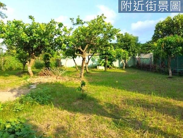 台南安南農地-2