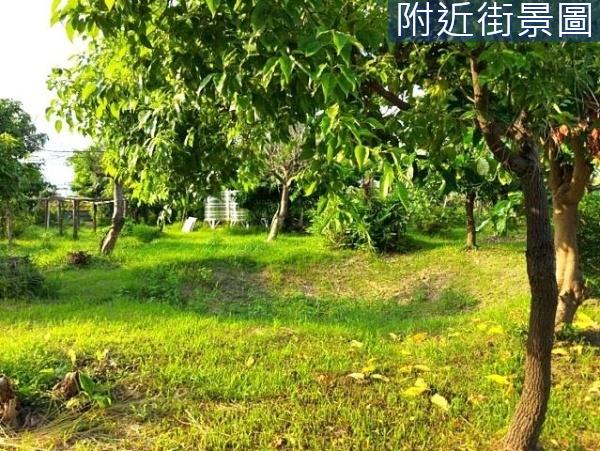 台南安南農地-6