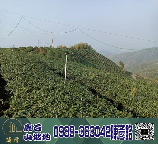 南投鹿谷工業地-10