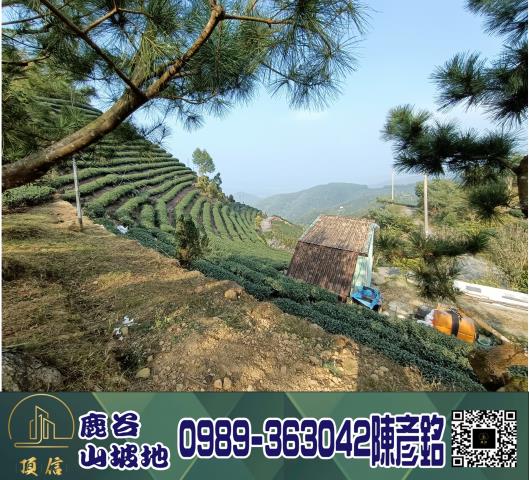 南投鹿谷工業地-1