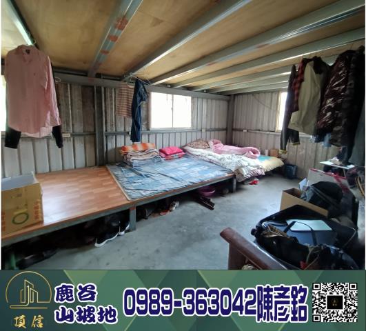 南投鹿谷工業地-6