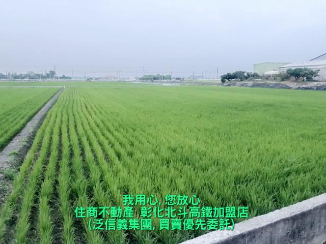 彰化溪州農地-2