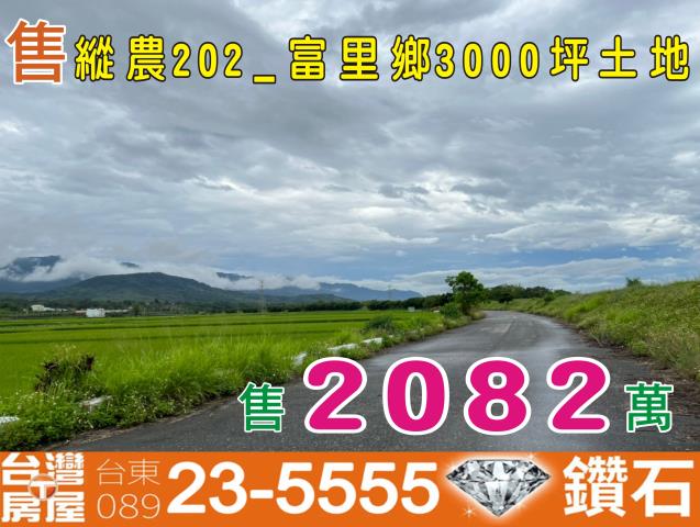 花蓮富里農地-1