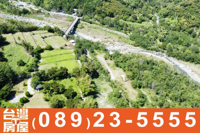 成功農地-7