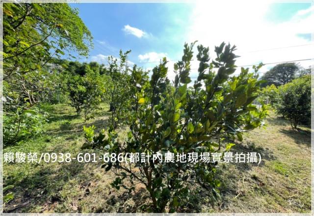 桃園楊梅都計內農地售