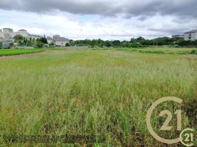 桃園平鎮農地-7