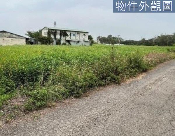 台南農地-2