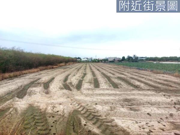 台南新市農地-5