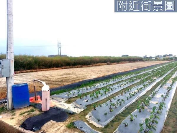 台南新市農地-7