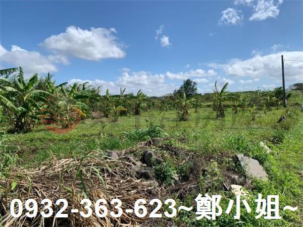 觀音交通用地-7