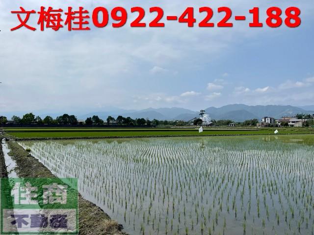 宜蘭三星農地-5