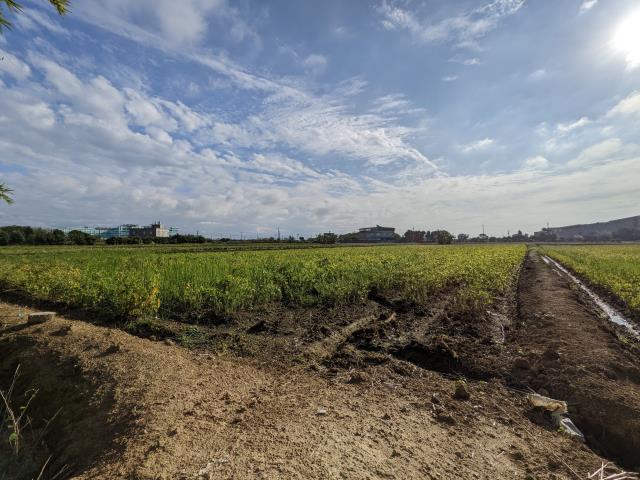 新屋農地-1