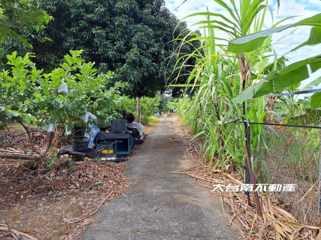 台南農地-10