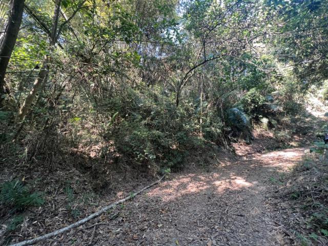 台南左鎮農地-1