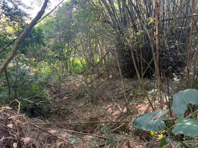 台南左鎮農地-3