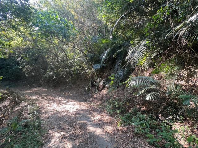 台南左鎮農地-4