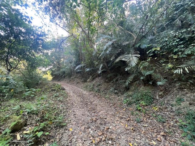 台南左鎮農地-5