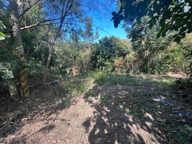 台南左鎮農地-6