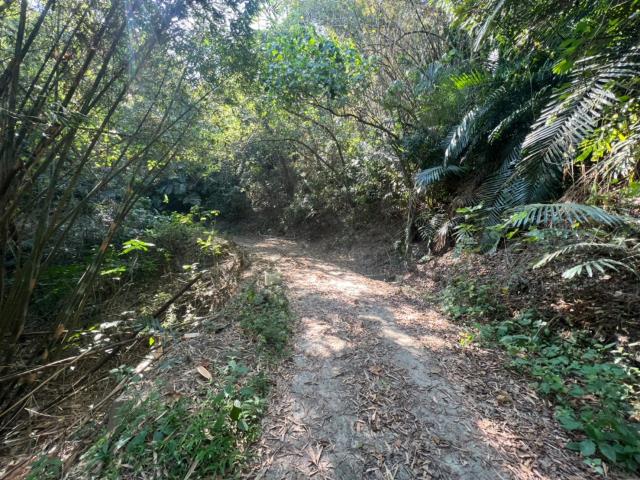 台南左鎮農地-7