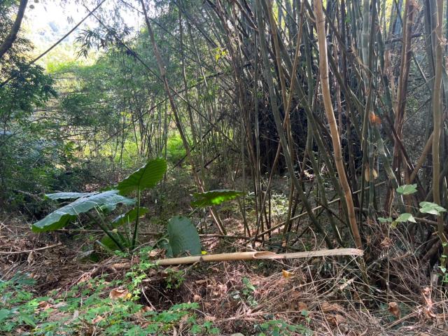 台南左鎮農地-8