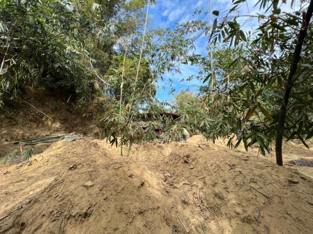 台南左鎮農地-1