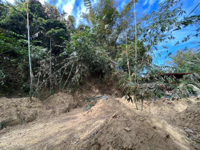 台南左鎮農地-2