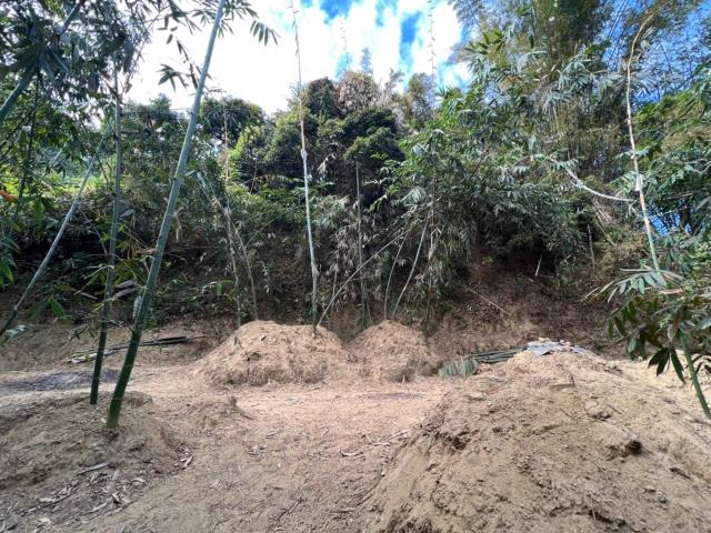 台南左鎮農地-3