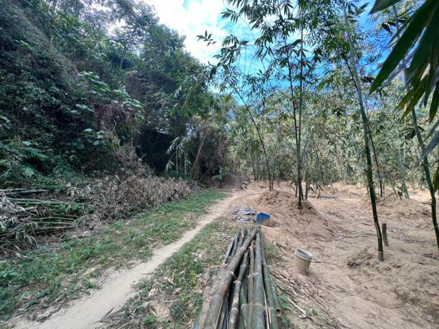 台南左鎮農地-4