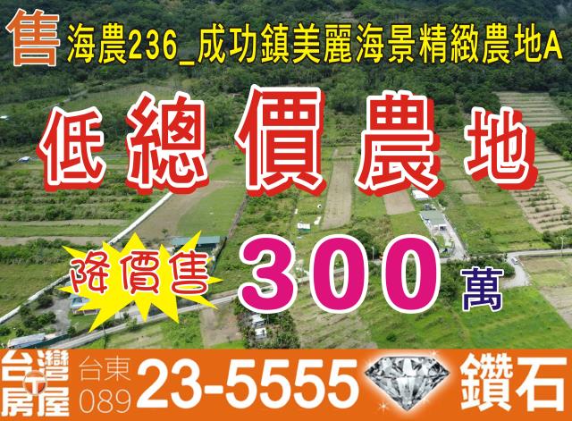 台東成功農地-1