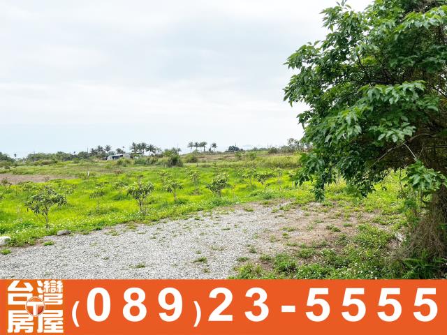 台東土地買賣