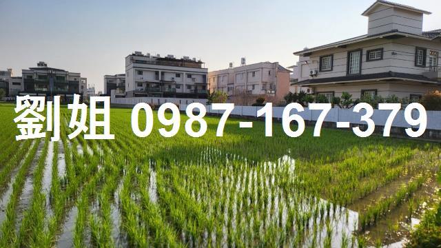 高雄美濃建地-1
