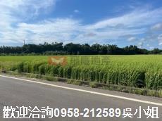 新竹新豐農地-3