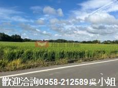 新竹新豐農地-4