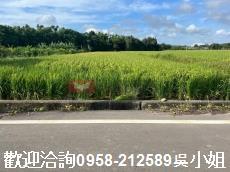 新竹新豐農地-5